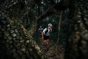 BIB: 
                            <button type="button" onclick="openModal(25687583)" class="btn btn-primary btn-sm float-right btn-popup" data-toggle="modal" data-target=".modal-high-quality">
                        <i class="fas fa-shopping-cart"></i> Add to Cart
                    </button>
                                            <button type="button" onclick="isThisMe(25687583, true)" class="btn btn-success btn-sm float-right btn-popup btn-isme hidden" data-toggle="tooltip" data-placement="bottom" title="นี่คือรูปของคุณใช่ไหม คลิกที่นี่เพื่อเอาเข้าอัลบั้ม">
                        <i class="fas fa-plus"></i> Add to album
                    </button>
                    <button type="button" onclick="isThisMe(25687583, false)" class="btn btn-warning btn-sm float-right btn-popup btn-isnotme hidden">
                        <i class="fas fa-ban"></i> Remove from album
                    </button>